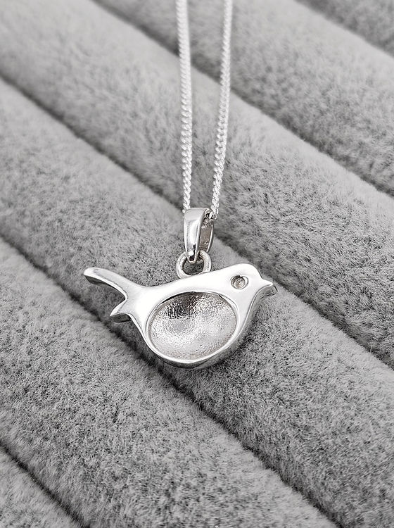 Bird Robin Keepsake Pendant