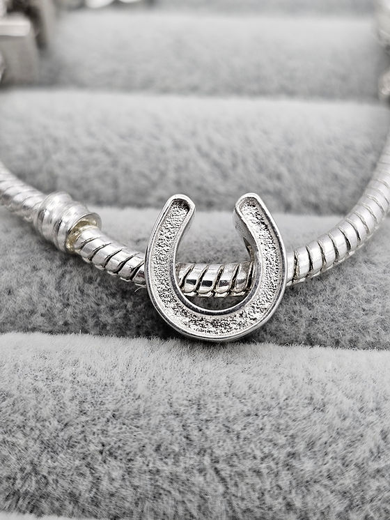 Horse Shoe Keepsake Charm